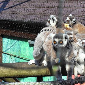 Belfast Visit 1st Sept