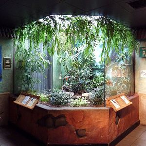 Mahler Family Aviary Building - Tanager Exhibit
