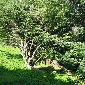 Belfast Visit 1st Sept