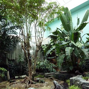 Mahler Family Aviary Building - Walk-Through Aviary