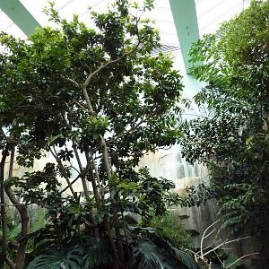 Mahler Family Aviary Building - Walk-Through Aviary