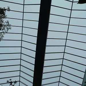 Mahler Family Aviary Building - Walk-Through Aviary Roof