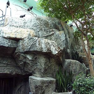 Mahler Family Aviary Building - Walk-Through Aviary