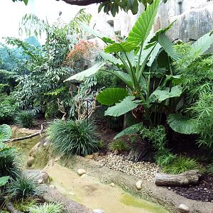 Mahler Family Aviary Building - Walk-Through Aviary