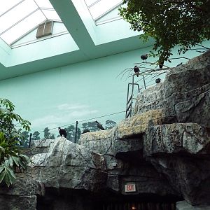 Mahler Family Aviary Building - Walk-Through Aviary