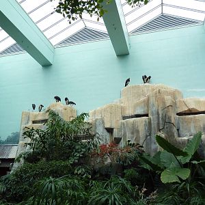 Mahler Family Aviary Building - Walk-Through Aviary