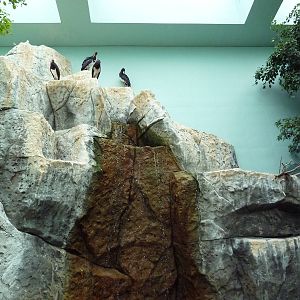 Mahler Family Aviary Building - Walk-Through Aviary