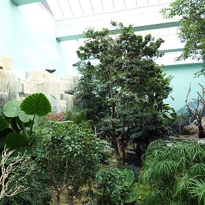 Mahler Family Aviary Building - Walk-Through Aviary