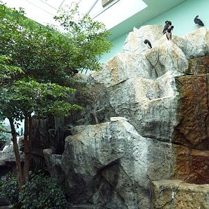 Mahler Family Aviary Building - Walk-Through Aviary