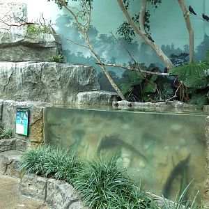 Mahler Family Aviary Building - Walk-Through Aviary