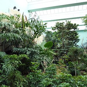 Mahler Family Aviary Building - Walk-Through Aviary