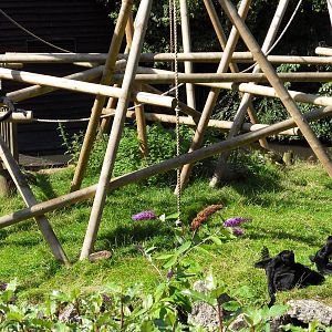 Belfast Visit 1st Sept