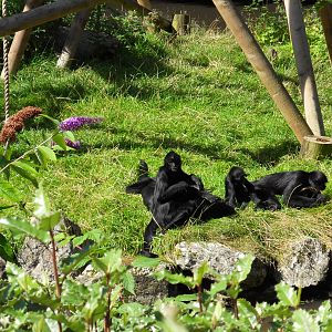 Belfast Visit 1st Sept