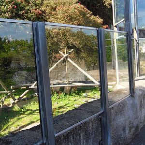 Belfast Visit 1st Sept