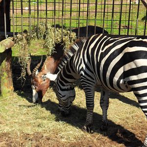 Belfast Visit 1st Sept