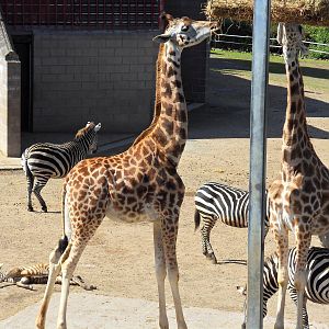 Belfast Visit 1st Sept