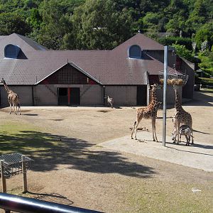 Belfast Visit 1st Sept