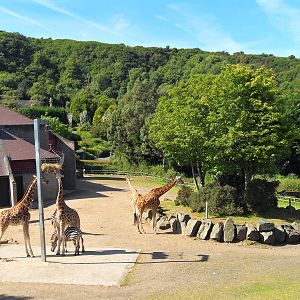 Belfast Visit 1st Sept