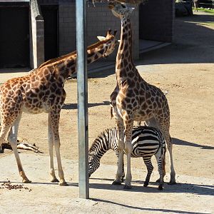 Belfast Visit 1st Sept