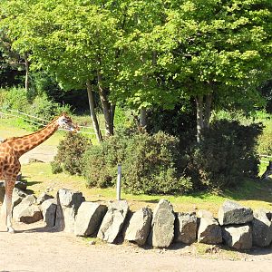 Belfast Visit 1st Sept