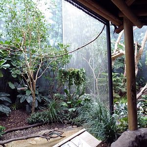 Mahler Family Aviary Building - Turqoise Tanager/Sunbittern/Blue Gray Tanag