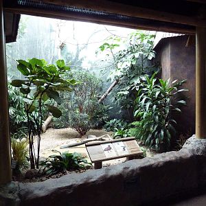 Mahler Family Aviary Building - Layson Teal/Bali Mynah Exhibit