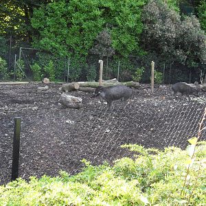 Belfast Visit 1st Sept