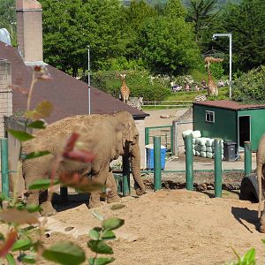 Belfast Visit 1st Sept