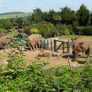 Belfast Visit 1st Sept