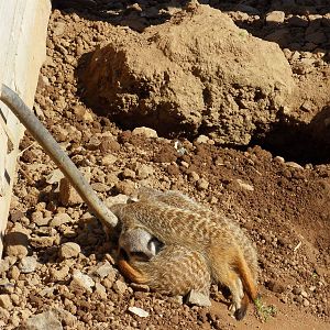 Belfast Visit 1st Sept