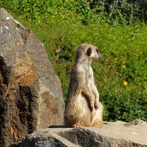 Belfast Visit 1st Sept