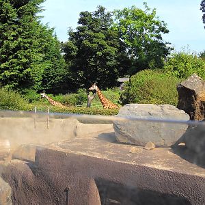 Belfast Visit 1st Sept