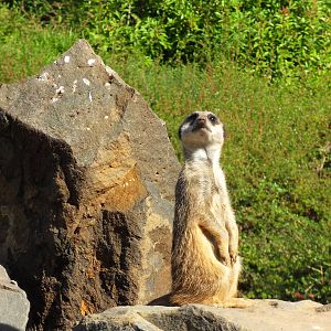 Belfast Visit 1st Sept