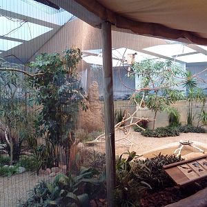Mahler Family Aviary Building - Blacksmith Plover/Bearded Barbet + Golden-B