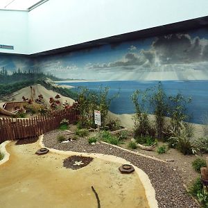 Mahler Family Aviary Building - Black-Necked Stilt/Blacksmith Plover/Americ