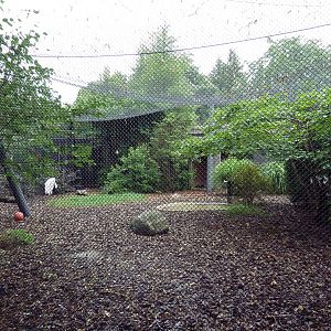 Whooping Crane Exhibit