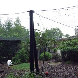 Whooping Crane Exhibit