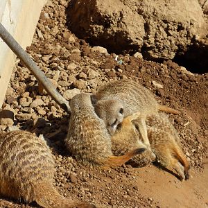 Belfast Visit 1st Sept