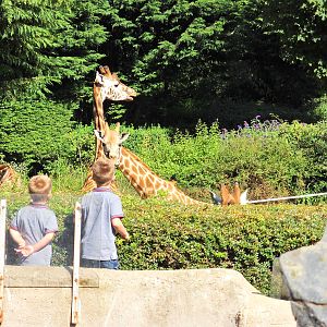 Belfast Visit 1st Sept