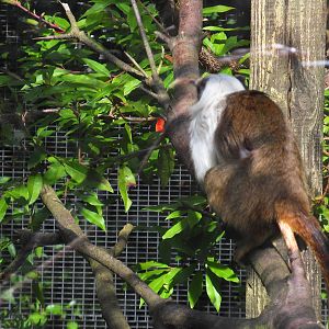 Belfast Visit 1st Sept