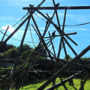 Belfast Visit 1st Sept