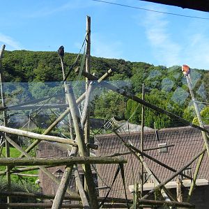 Belfast Visit 1st Sept