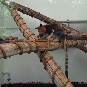 Belfast Visit 1st Sept