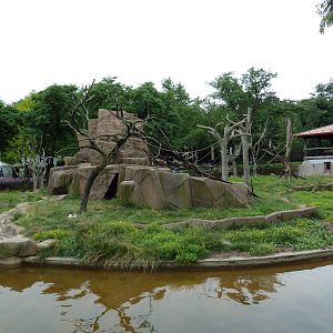 Japanese Macaque Island