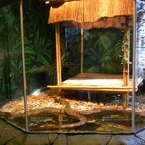 Reptile House