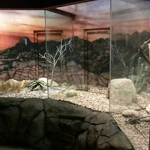 Reptile House
