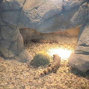 Reptile House