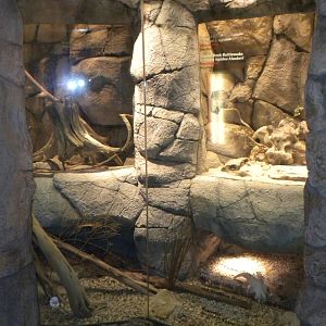 Reptile House