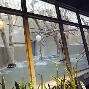 Primate Complex - Colobus Monkey Exhibit