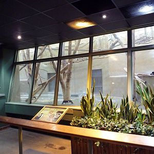 Primate Complex - Colobus Monkey Exhibit